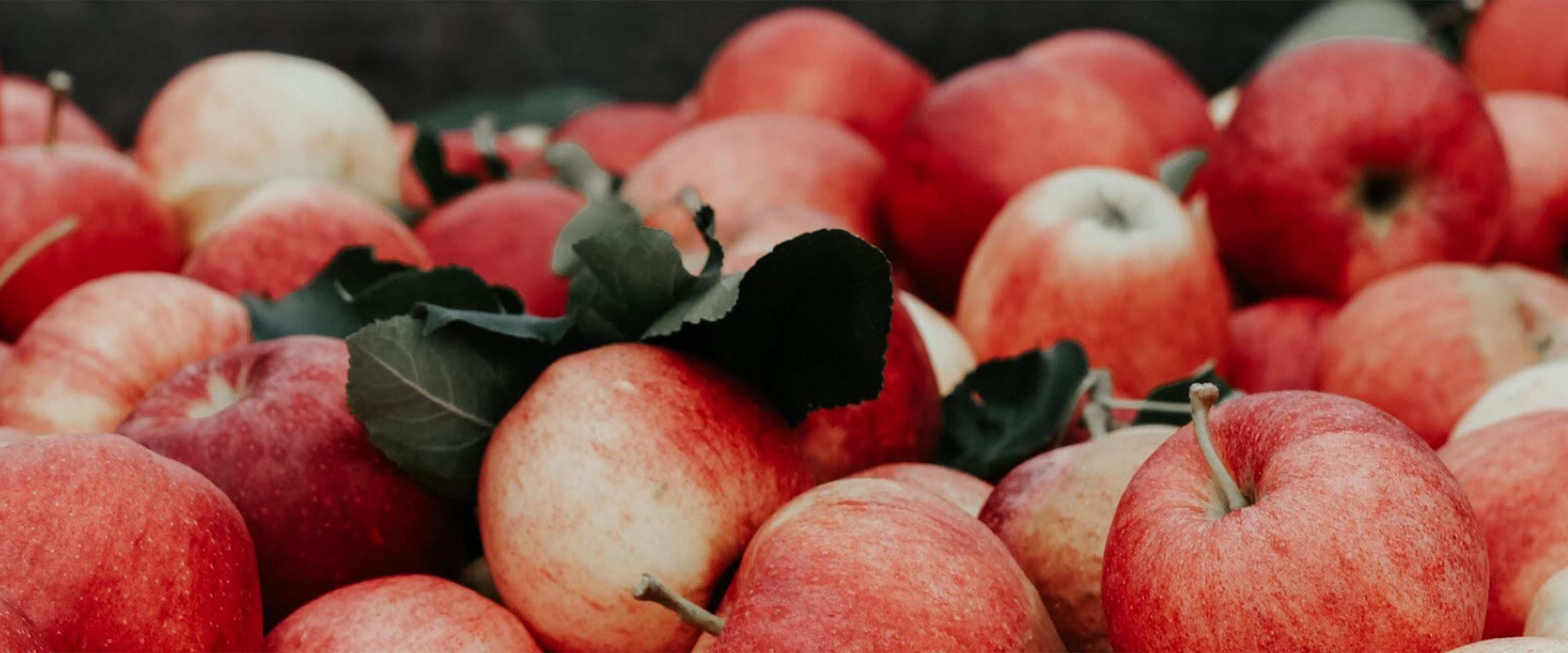 These pile of apples on the table are just one ingredient that will help get a great skin foundation for your later years.