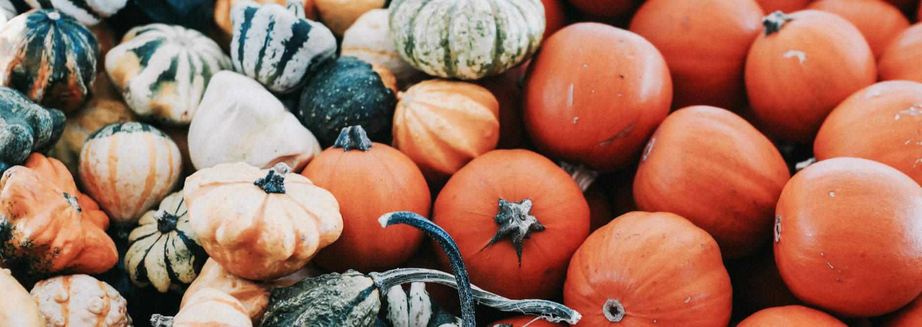 Superfood ingredients like these will nourish your skin with our Cure E system (E for eczema) to get the results.