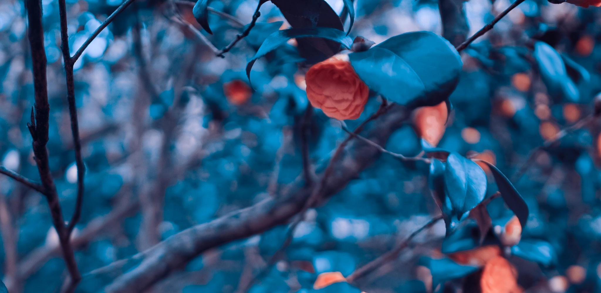 If we were more selfish this world would be a better place.