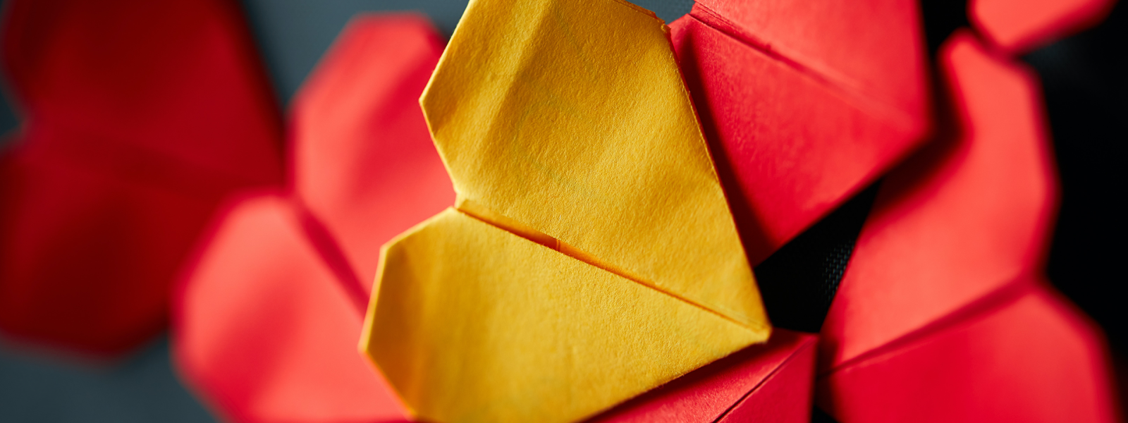 Do you want rescuing?