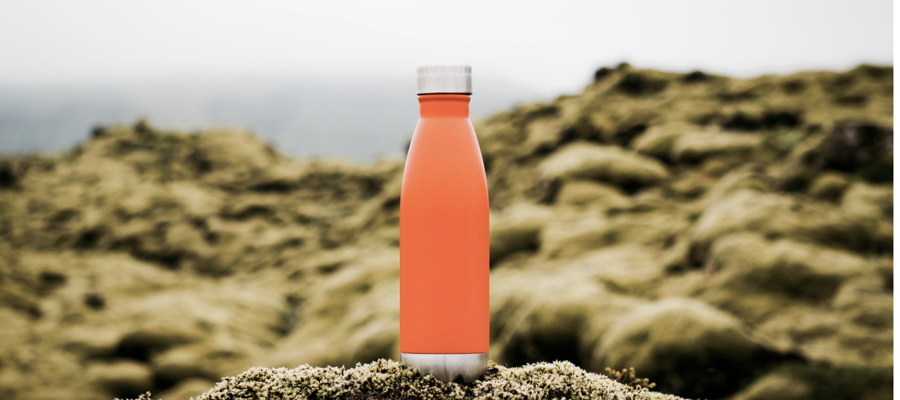 I have a few confessions.