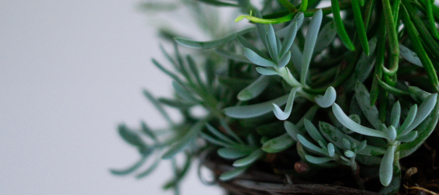 results for severe eczema plus face 22-39