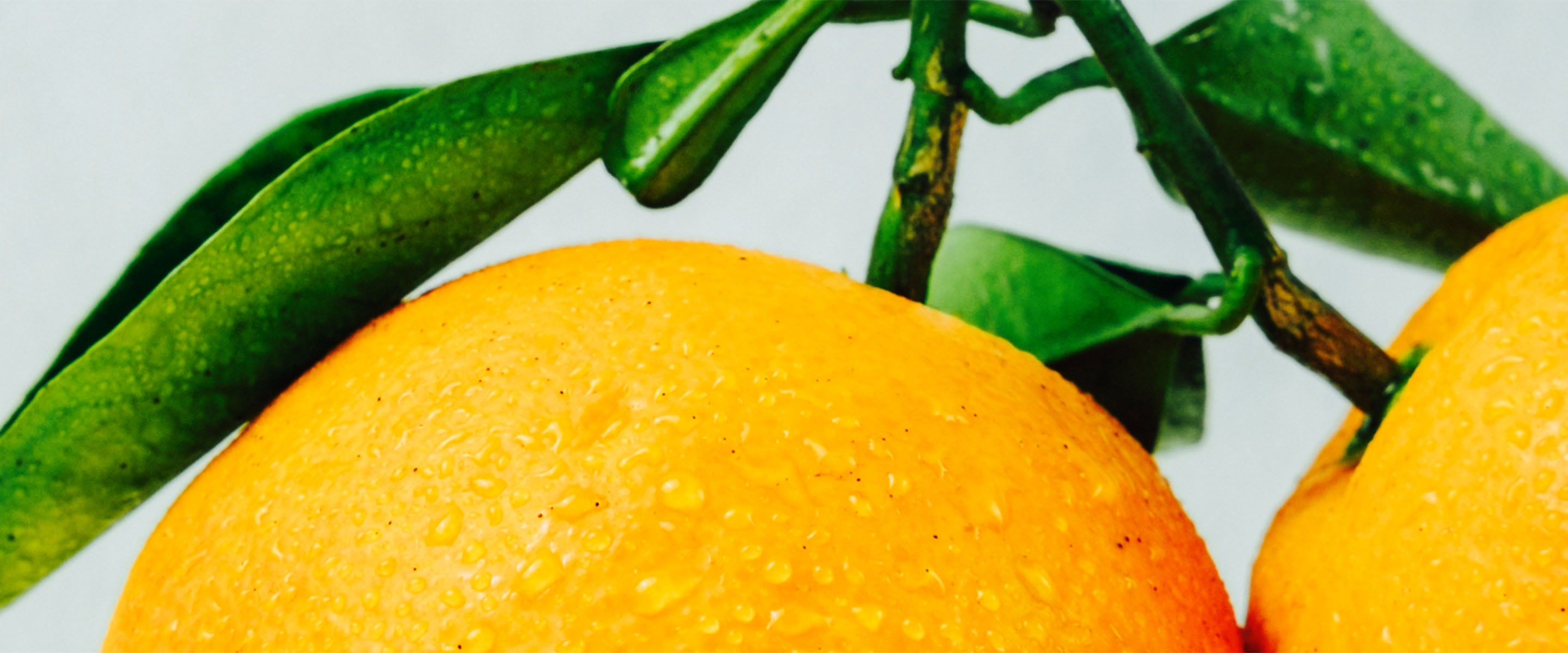 results for preteen and teen