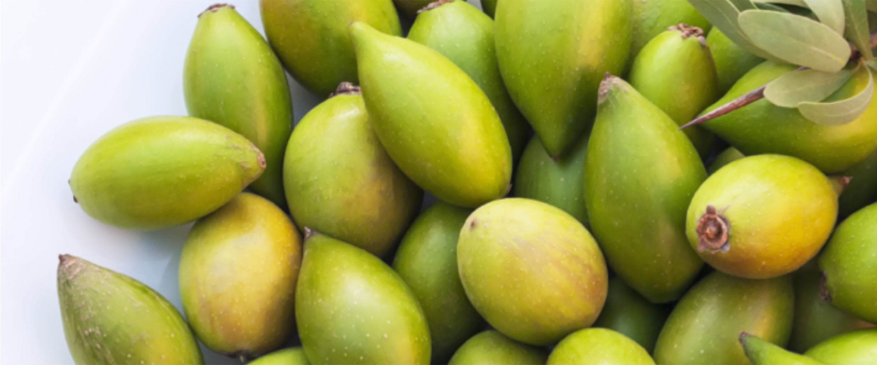 Ingredients like these on the table will help to care for your face and get a great foundation for skin while you are young.