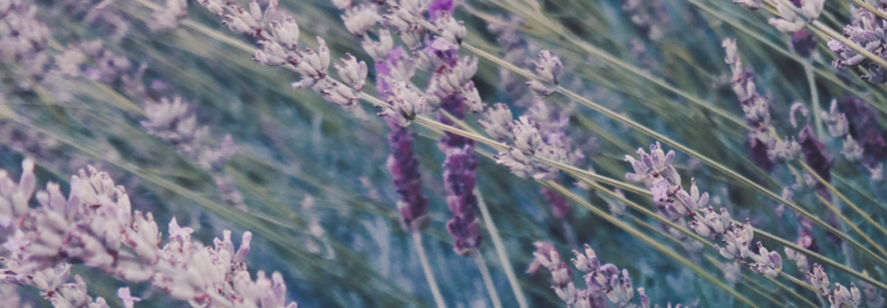 Ingredients like this lavender help to remedy face concerns with aging skin issues to give you a healthy radiance.
