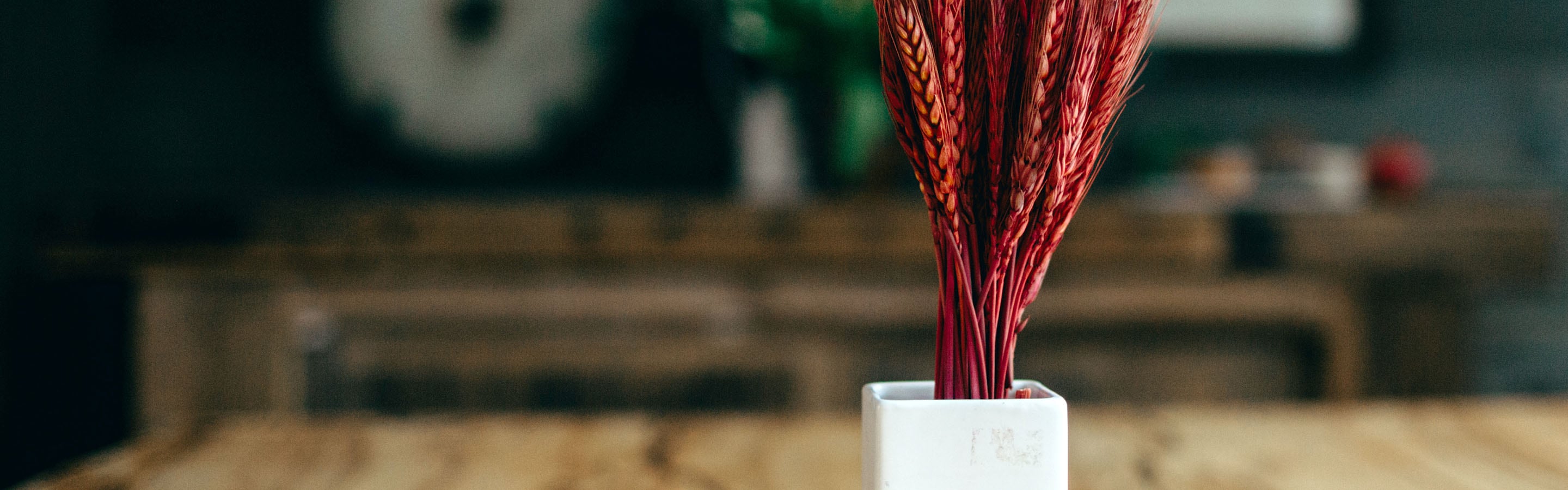 Dry Skin Collection | We handcraft the finest skincare that nourishes your skin while providing the hydration your skin craves.