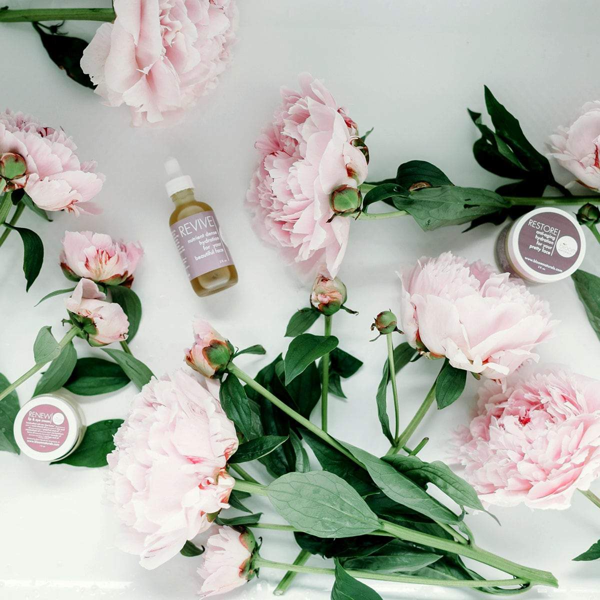 restoring a healthy glow deal-face-Bloom Naturals