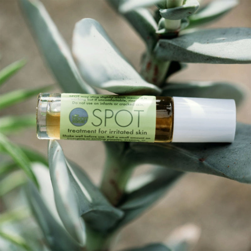 spot | treatment for acne & eczema-irritated skin-Bloom Naturals